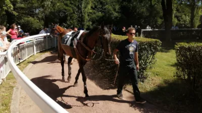 Pronostic pour le Tiercé Quarté Quinté du dimanche 21 août 2022