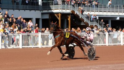 Pronostic pour le Tiercé Quarté Quinté du mercredi 17 août 2022