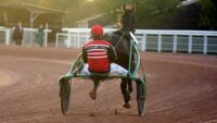 Pronostic pour le Tiercé Quarté Quinté du mercredi 21 septembre 2022