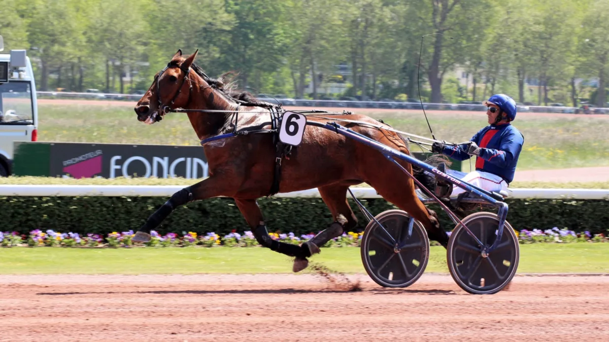 Pronostic pour le Tiercé Quarté Quinté du vendredi 12 août 2022
