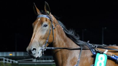 Pronostic pour le Quinté PMU du vendredi 4 novembre 2022