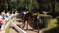 Pronostic prix de l'Arc de Triomphe 2022