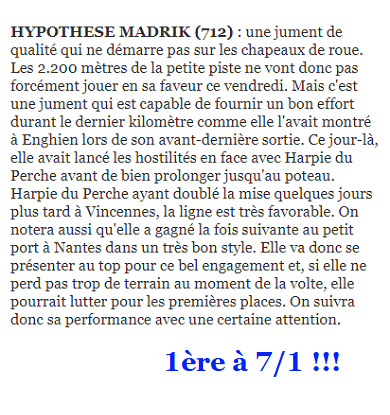 Conseillée aux abonnés, HYPOTHESE MADRIK, s'impose sur l'hippodrome de Vincennes ce vendredi 25 novembre 2022
