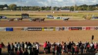 Course de trot attelé