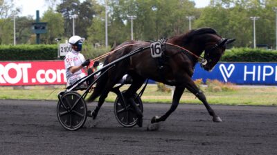 Trotteur sur l'hippodrome de Vincennes