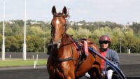 Pronostic Quinté PMU du samedi 10 décembre 2022