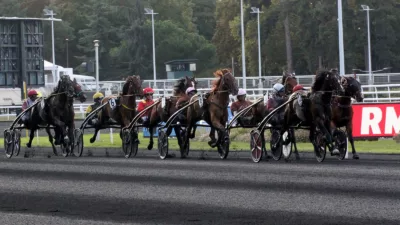Pronostic pour le Tiercé Quarté Quinté du mercredi 14 décembre 2022