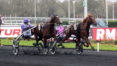 Pronostic pour le Tiercé Quarté Quinté du mercredi 7 décembre 2022