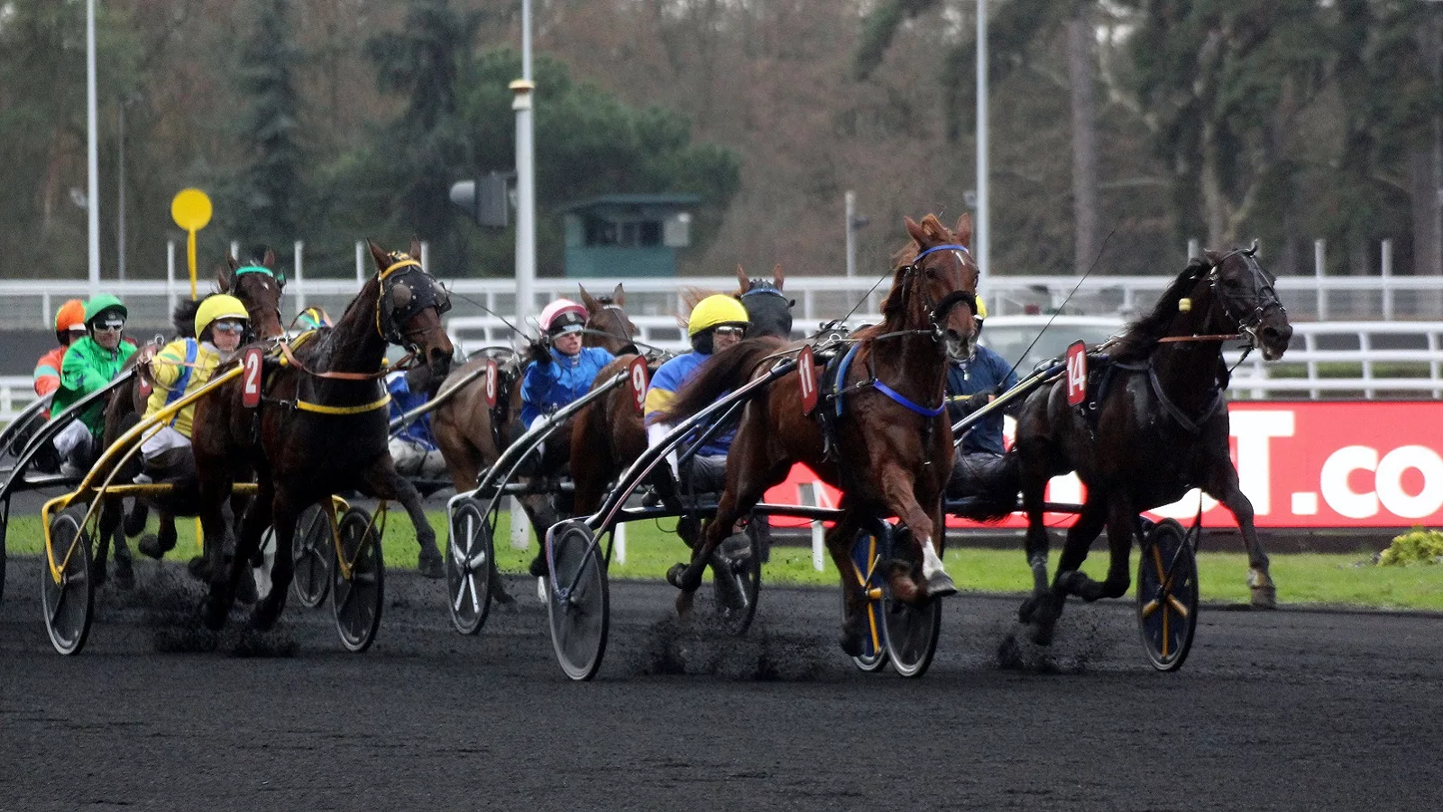 Pronostic pour le Tiercé Quarté Quinté du jeudi 19 janvier 2023