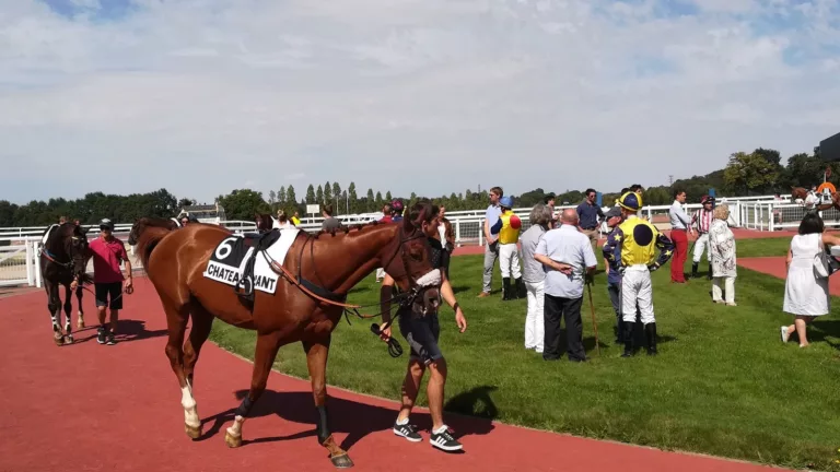 Pronostic pour le quinté PMU du vendredi 27 janvier 2023