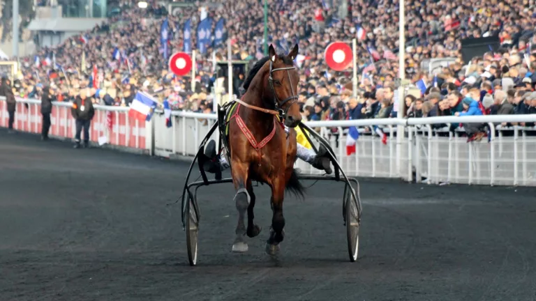 Pronostic Prix d'Amérique