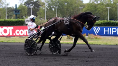 Pronostic pour le Quinté+ du mardi 14 février 2023
