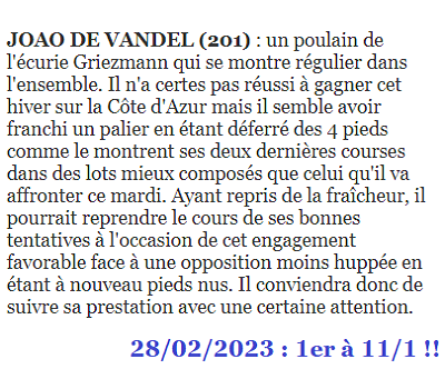 Pronostic gagnant du 28 février 2023. Victoire de JOAO DE VANDEL