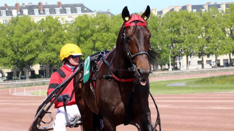 Pronostic pour le Tiercé Quarté Quinté du dimanche 12 mars 2023