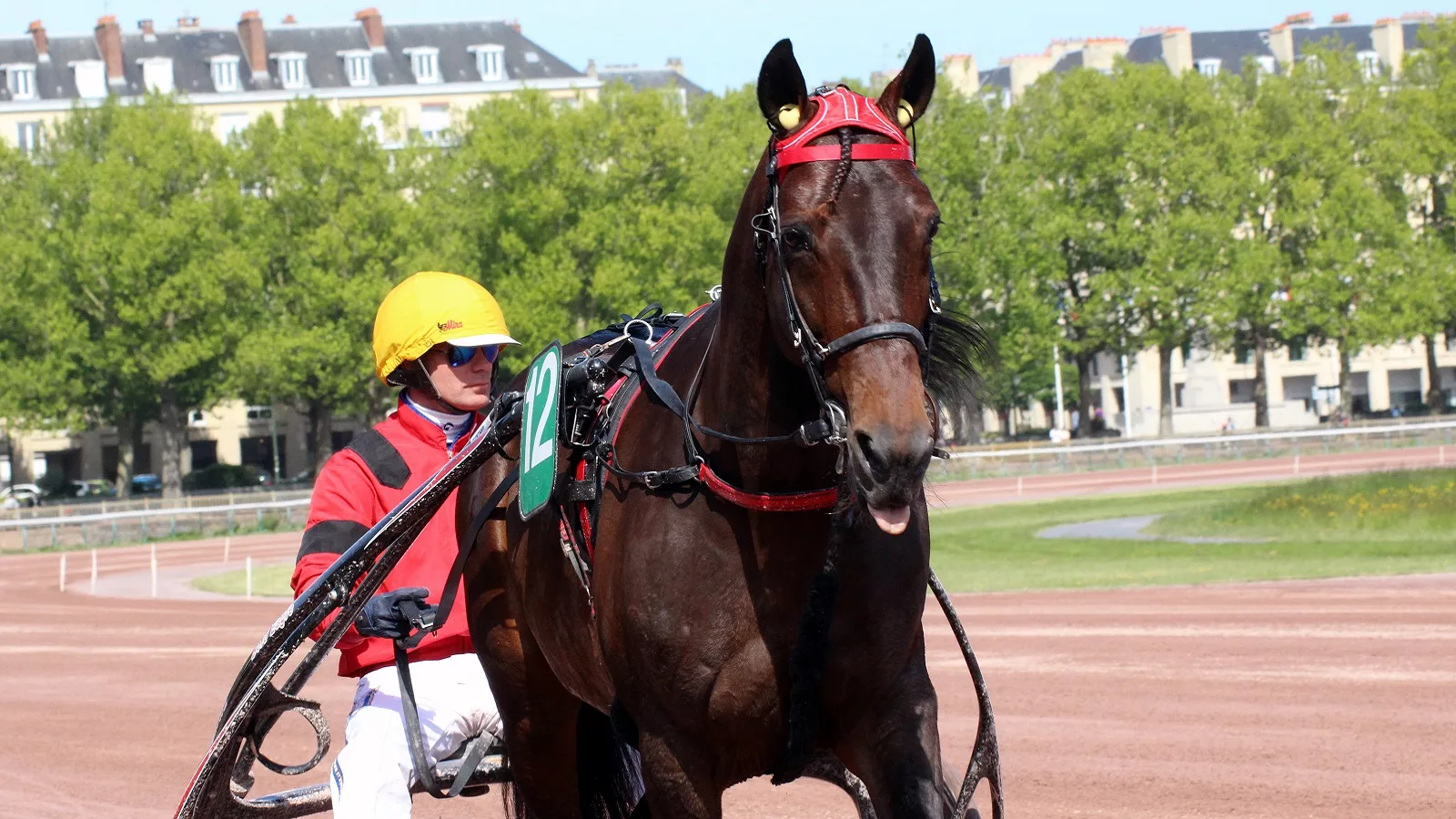 Pronostic pour le Tiercé Quarté Quinté du dimanche 12 mars 2023