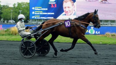 Pronostic pour le Quinté du PMU du samedi 6 mai 2023