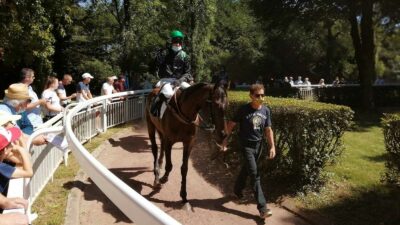 Pronostic pour le Tiercé Quarté Quinté du jeudi 1 juin 2023