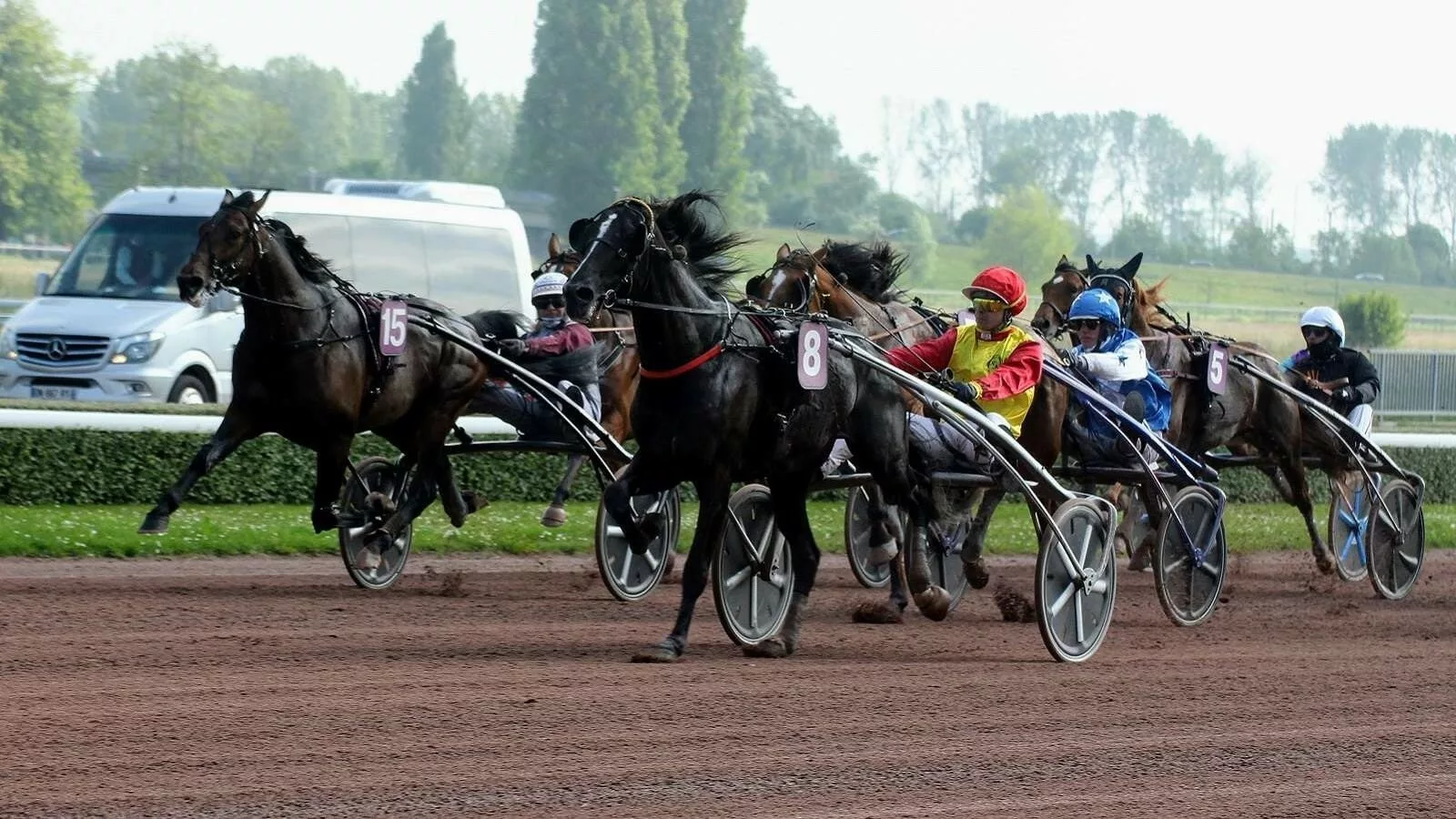 Pronostic PMU du quinte 01 juillet 2023