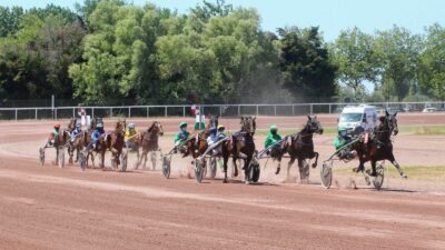 Pronostic pour le Quinté du PMU du mercredi 7 juin 2023