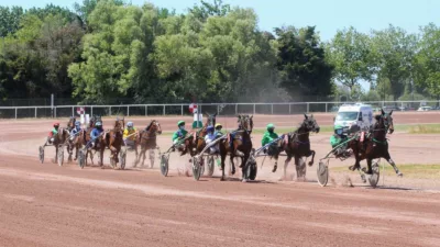 Pronostic pour le Quinté du PMU du mercredi 7 juin 2023