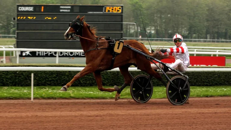 Pronostic quinté du samedi 29 juillet 2023