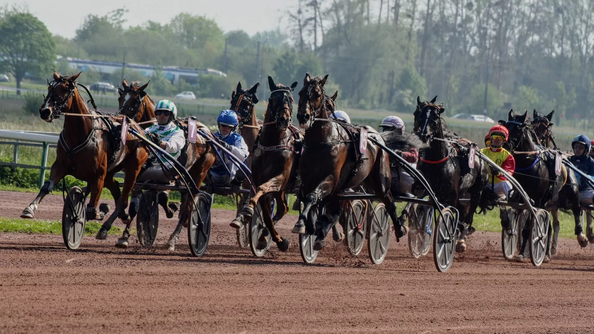 Pronostic PMU du jour Quinté mardi 11 juillet 2023
