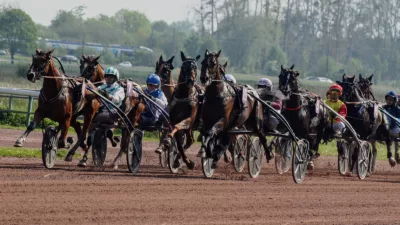 Pronostic PMU du jour Quinté mardi 11 juillet 2023