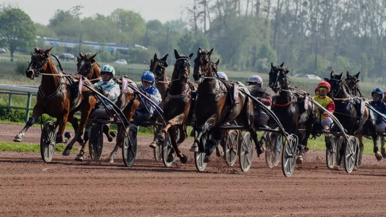 Pronostic PMU du jour Quinté mardi 11 juillet 2023