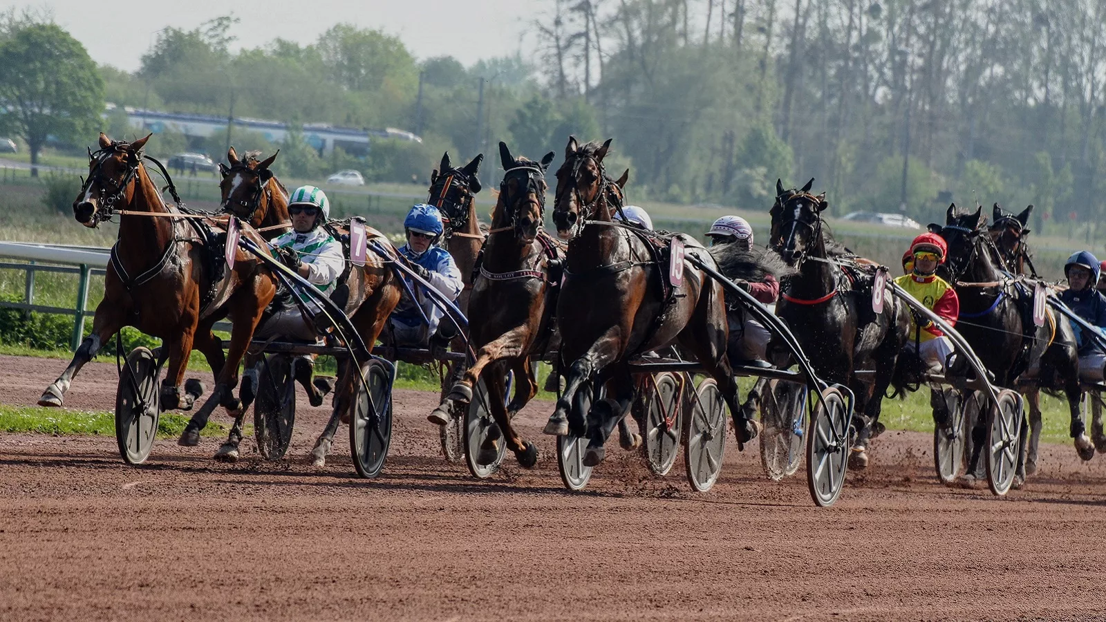 Pronostic PMU du jour Quinté mardi 11 juillet 2023