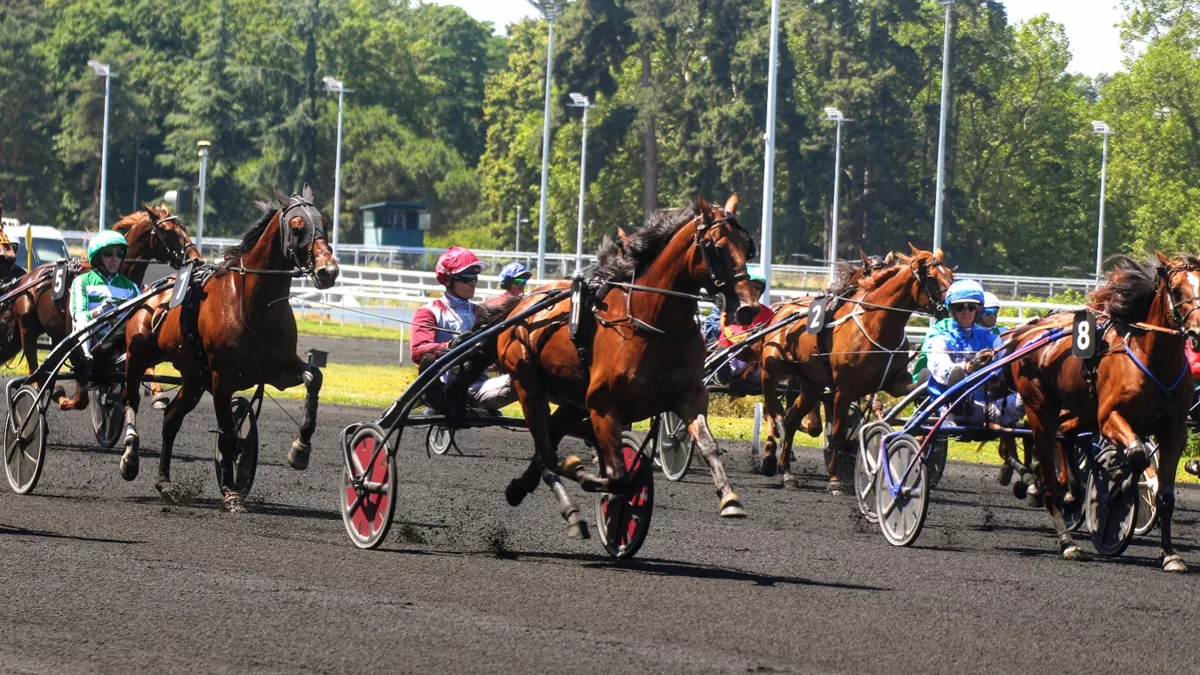 Pronostic PMU mercredi 12 juillet 2023