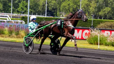 Pronostic PMU mercredi 5 juillet 2023