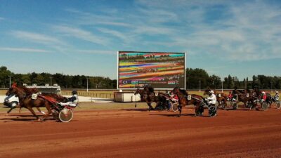 Pronostic PMU quinte 7 juillet 2023