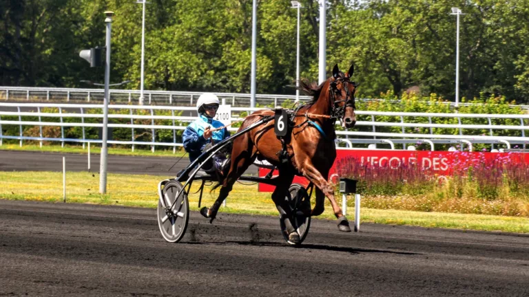 Pronostic PMU samedi 8 juillet 2023