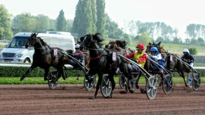 Pronostic PMU du vendredi 25 août 2023 4 bases pour le Quinté du jour