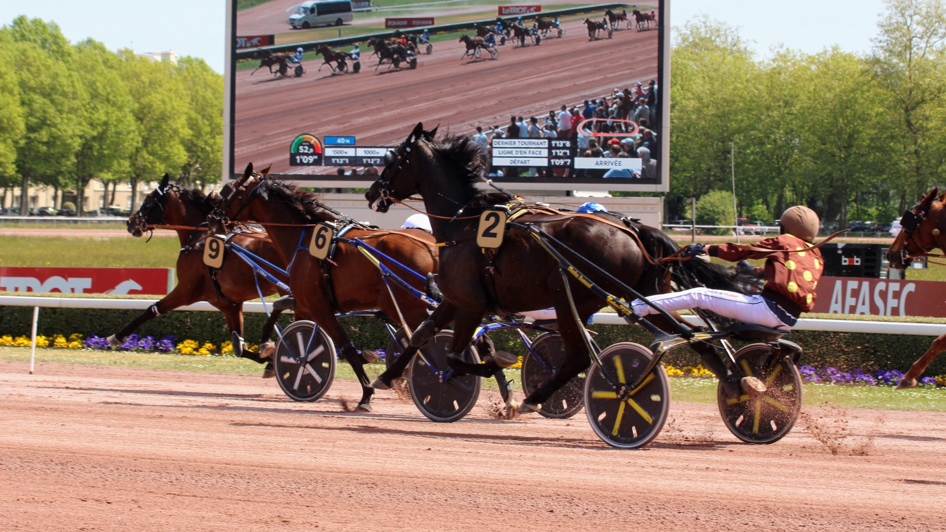 Pronostic PMU du mercredi 11 octobre 2023 avec 4 bases pour le Quinté du jour