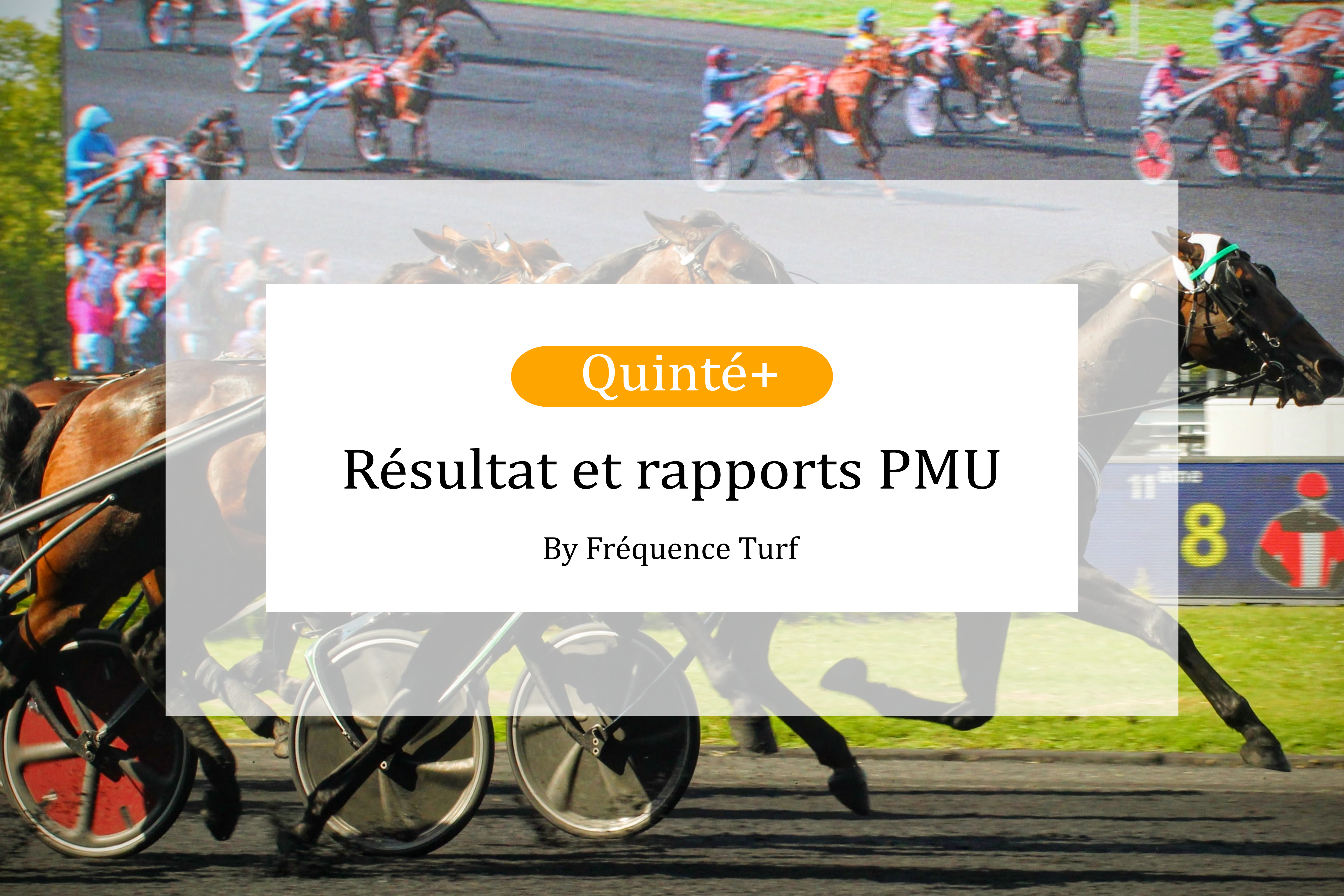 Resultat arrivée et rapports pmu du Quinté