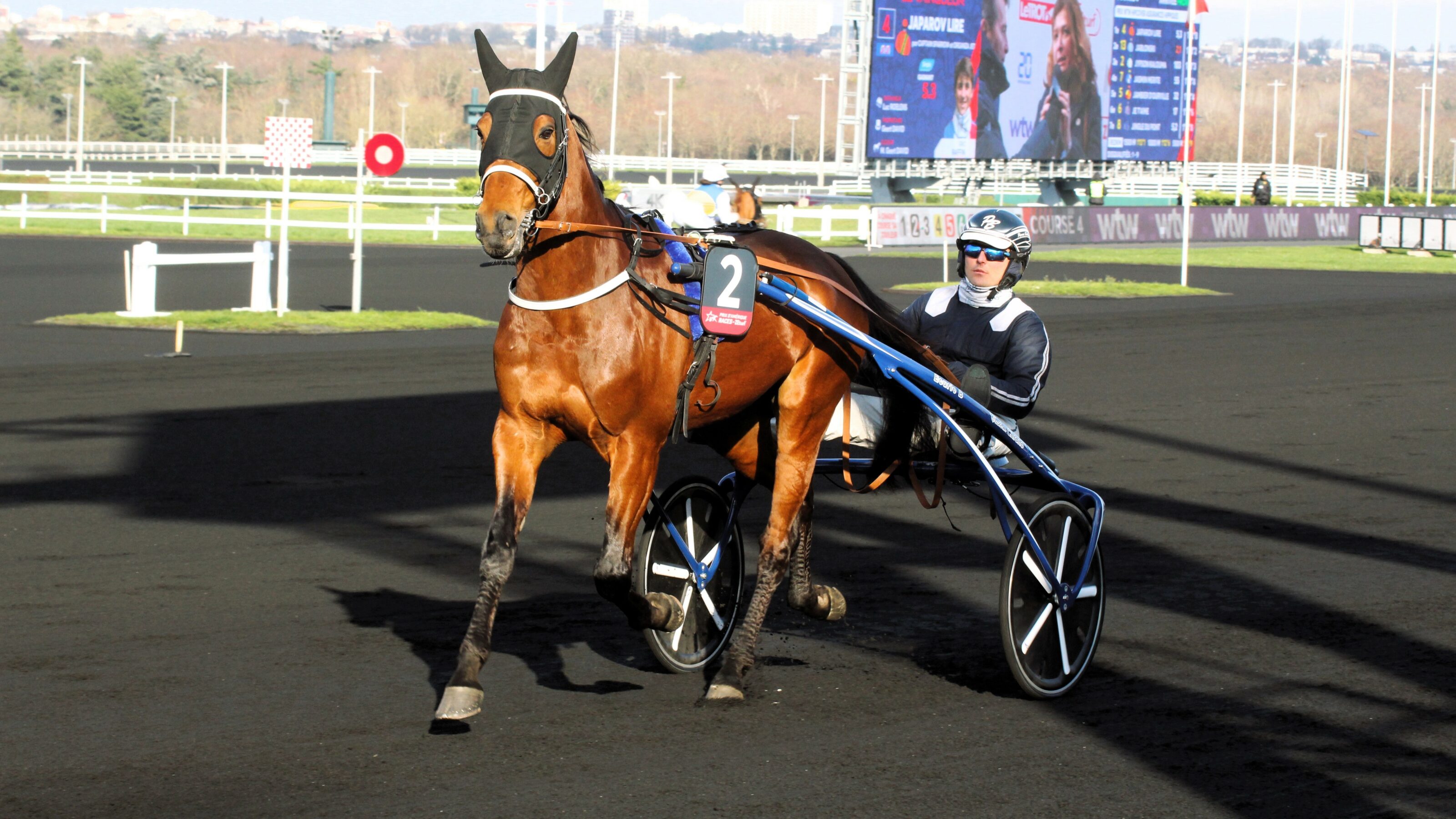 Pronostic PMU dimanche 19 novembre 2023 avec 4 bases pour le Quinté du jour