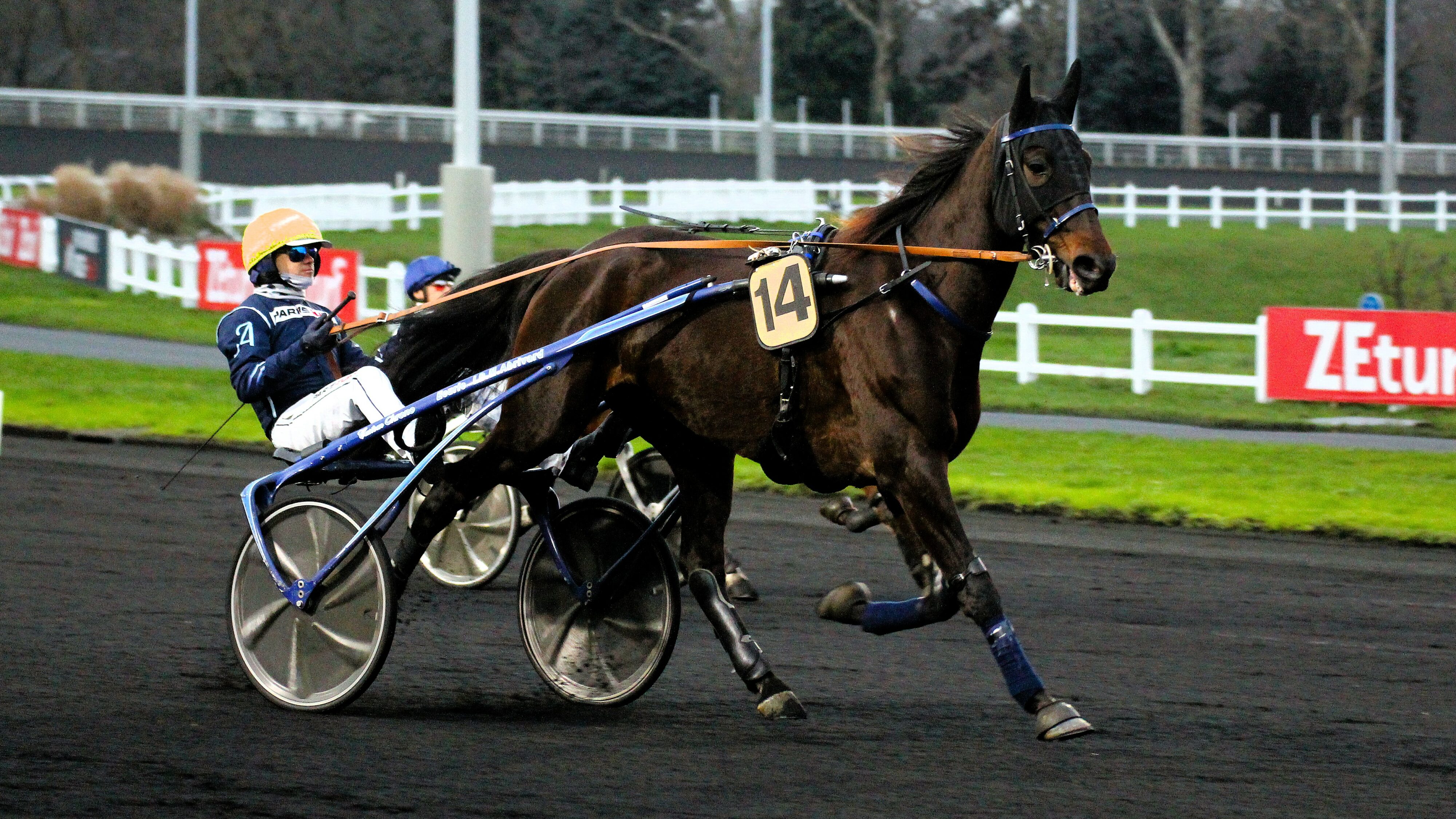 Pronostic PMU du jeudi 23 novembre 2023 avec 4 bases pour le Quinté du jour