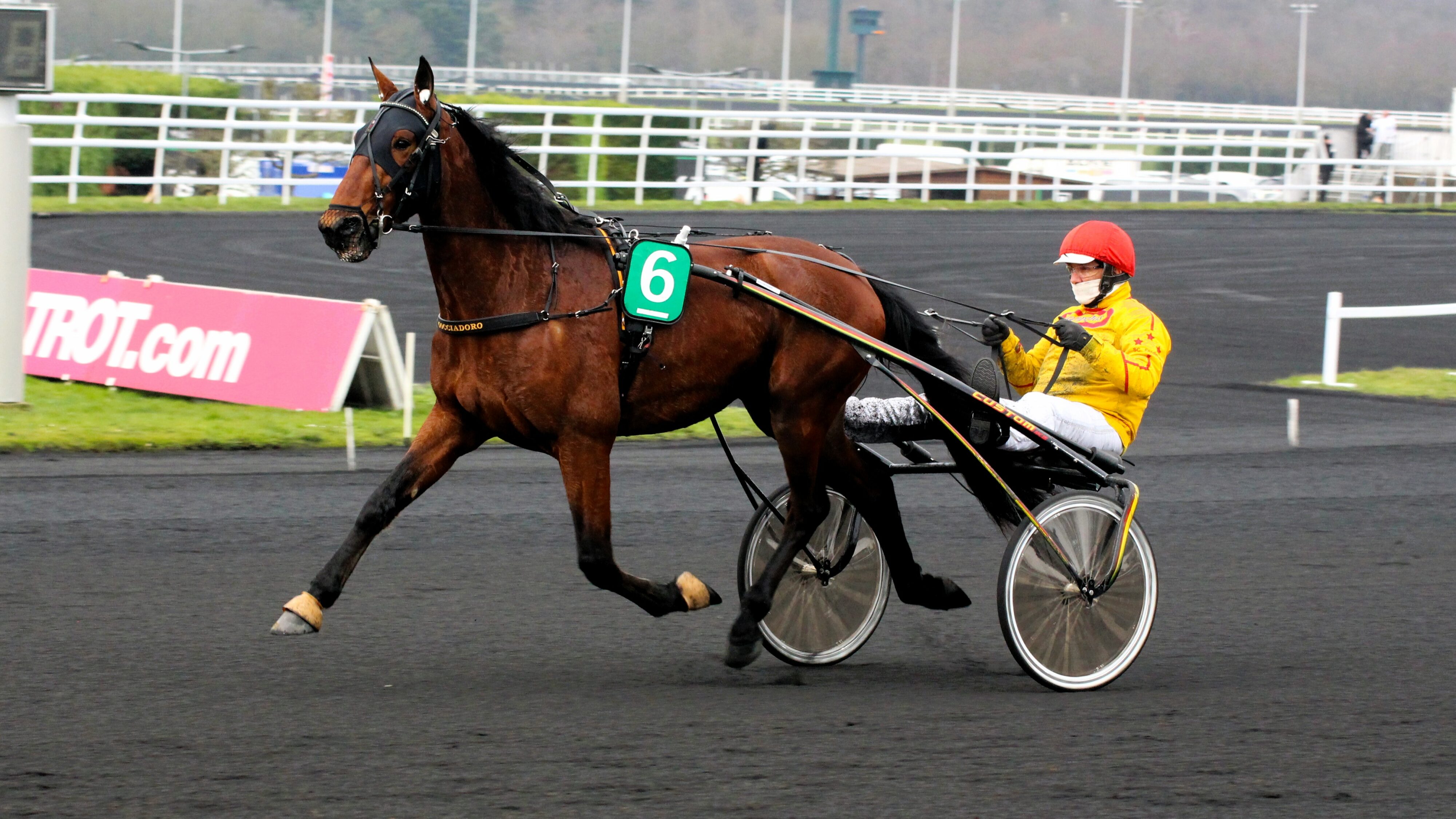 Pronostic PMU du mercredi 22 novembre 2023 avec 4 bases pour le Quinté du jour