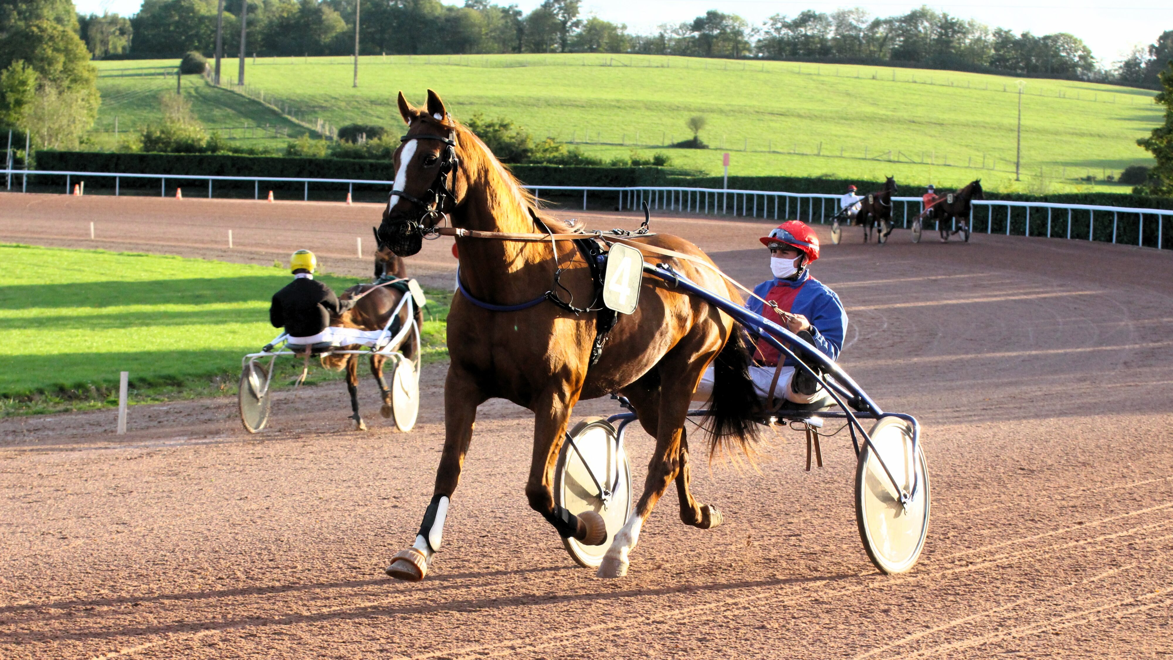 Un trotteur sur l'Hippodrome de Laval