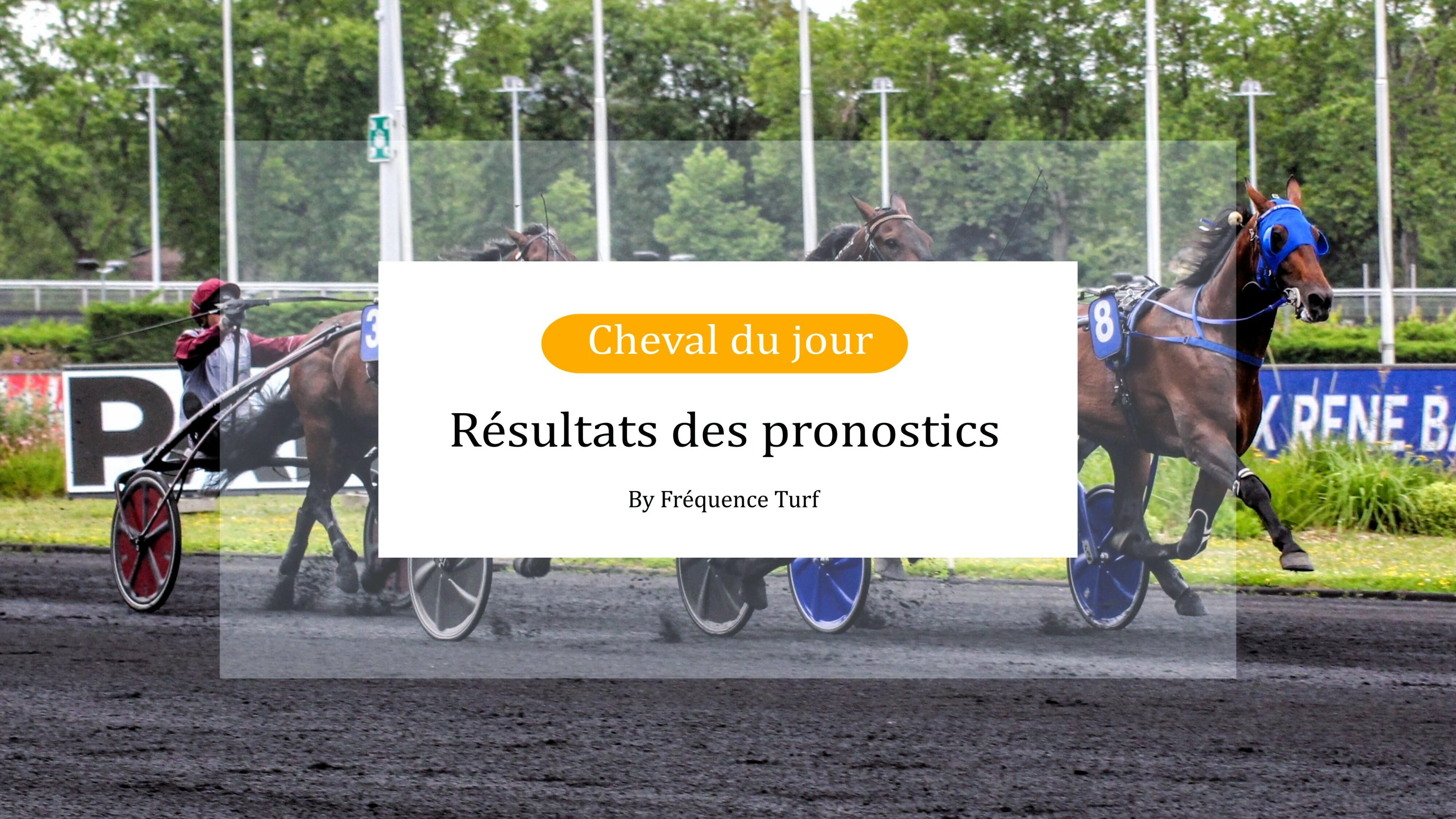 Résultat du cheval du jour et des pronostics PMU