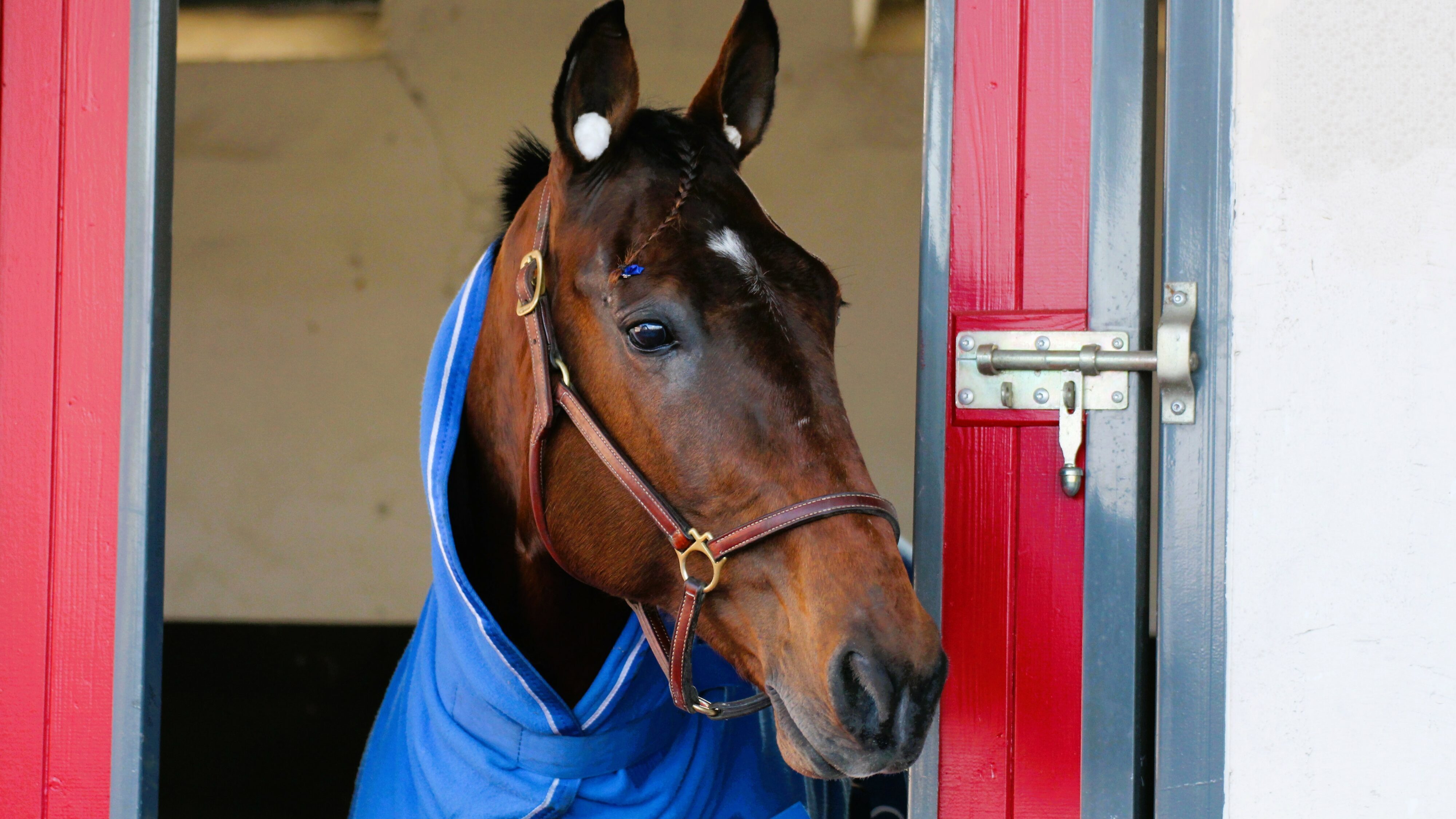 Pronostic PMU du mercredi 24 avril 2024 avec base et tocard pour le Quinté du jour