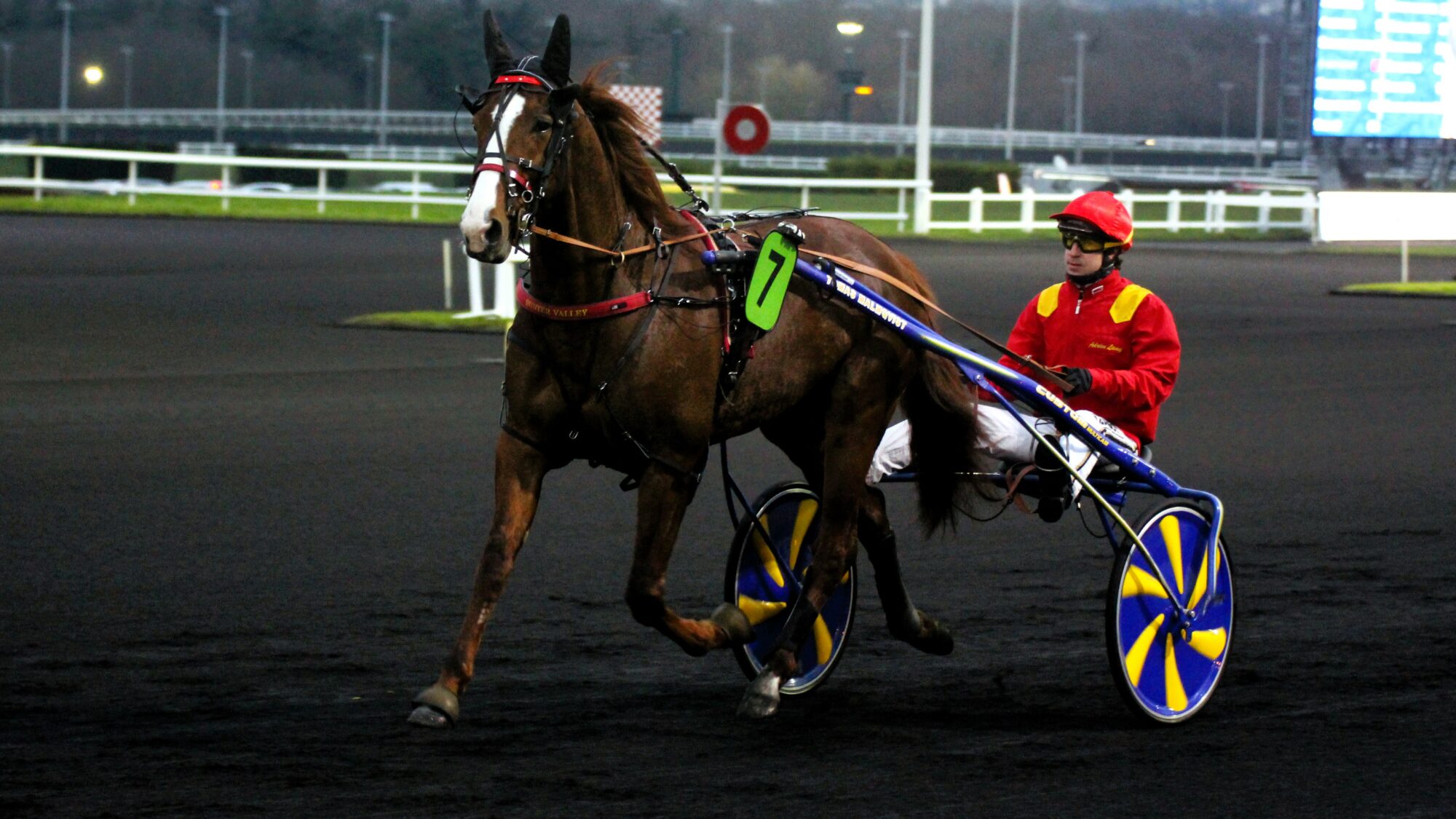 TIERC QUART QUINT PARTANTS PRONOSTICS ET RAPPORTS visual data 6