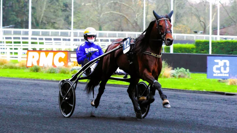 Pronostic PMU samedi 13 avril 2024 avec base et tocard pour le Quinté du jour