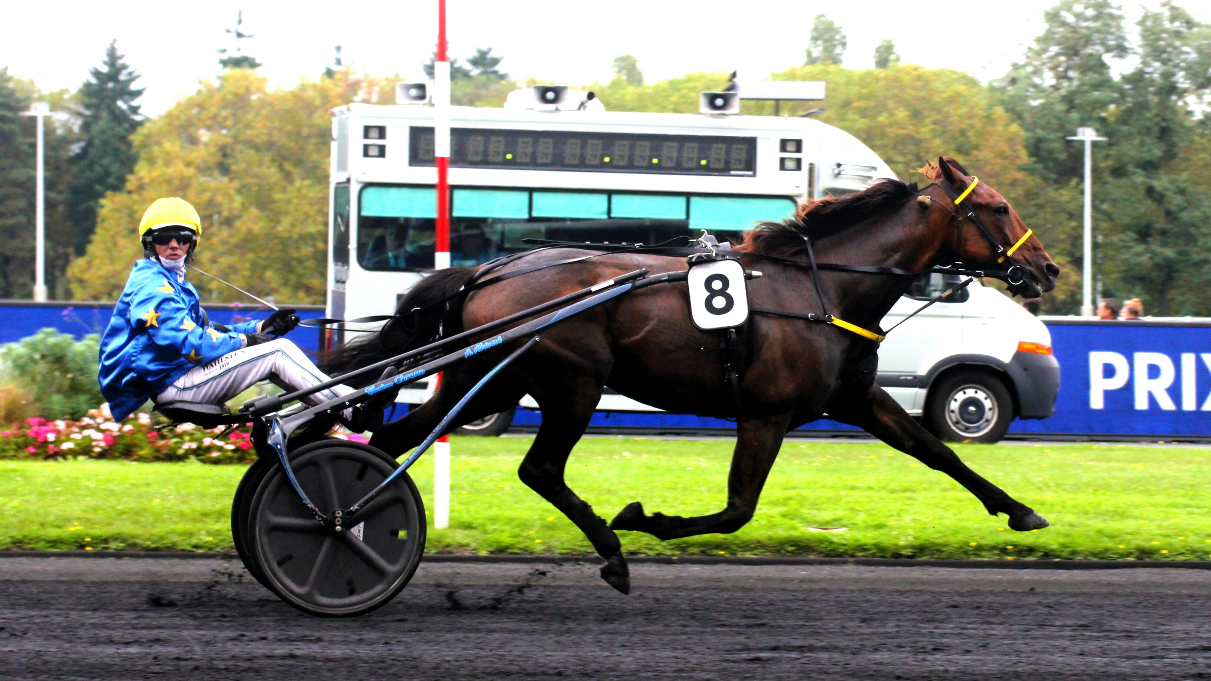 Pronostic PMU du vendredi 17 mai 2024 avec 4 bases pour le Quinté du jour