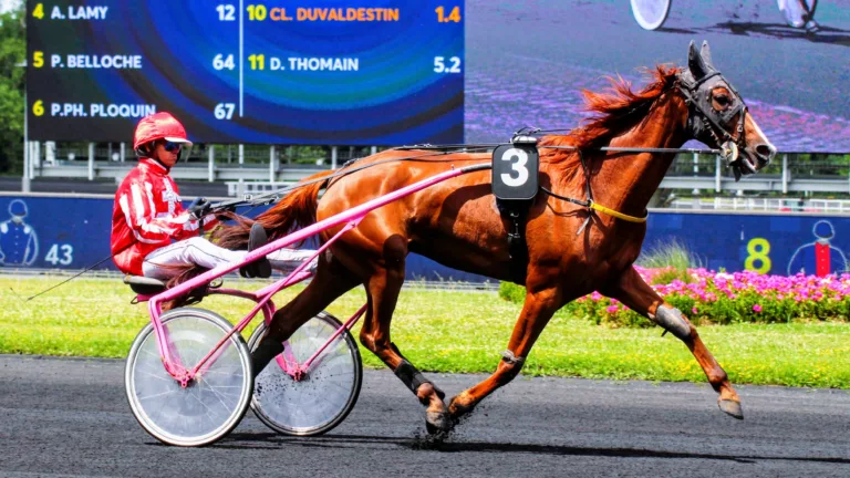 Pronostic PMU du vendredi 31 mai 2024 avec base et tocard pour le Quinté du jour