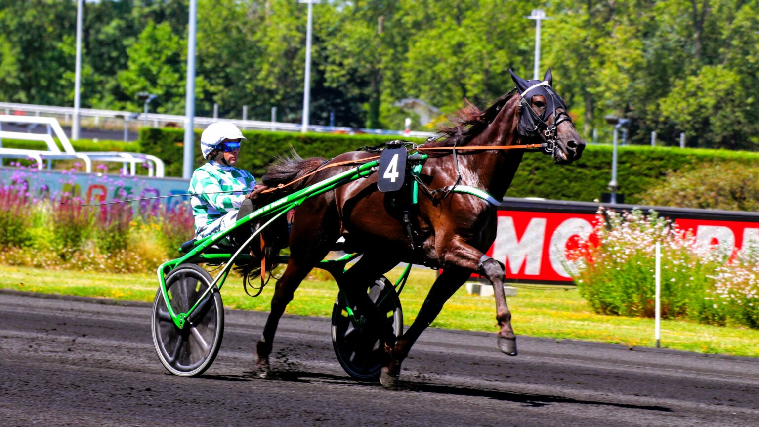 PRONOSTICS QUINTE LUCRATIFS SUR 6 MOIS EN 6 CHEVAUX visual data 2