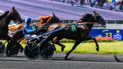 Pronostic PMU du samedi 6 juillet 2024 avec base et tocard pour le Quinté du jour