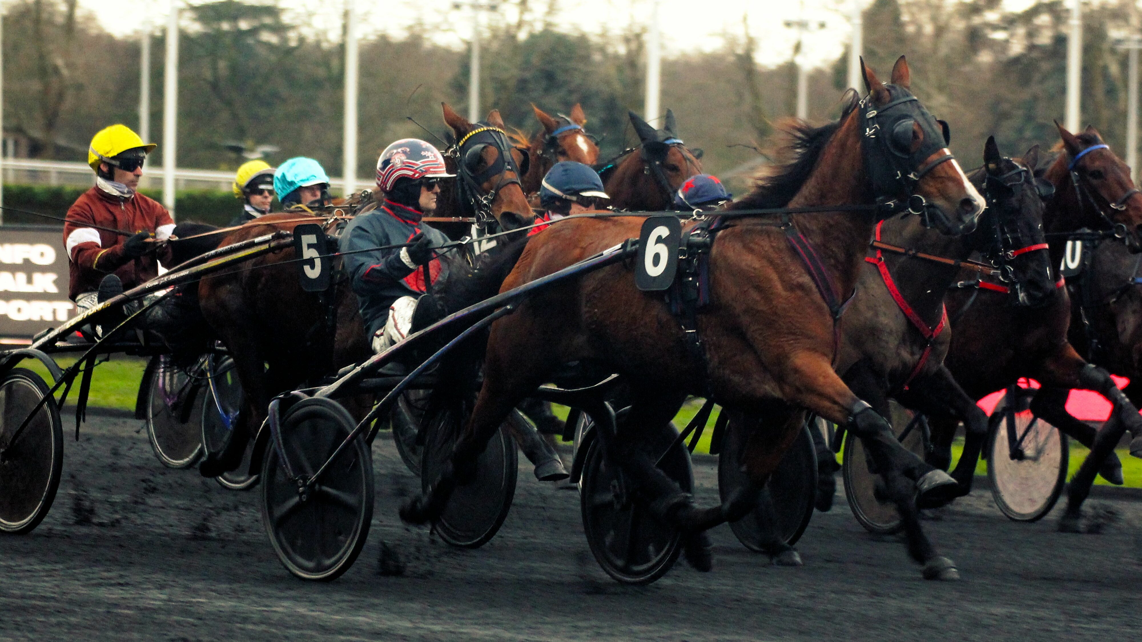 Pronostics presse PMU mercredi 16 octobre 2024