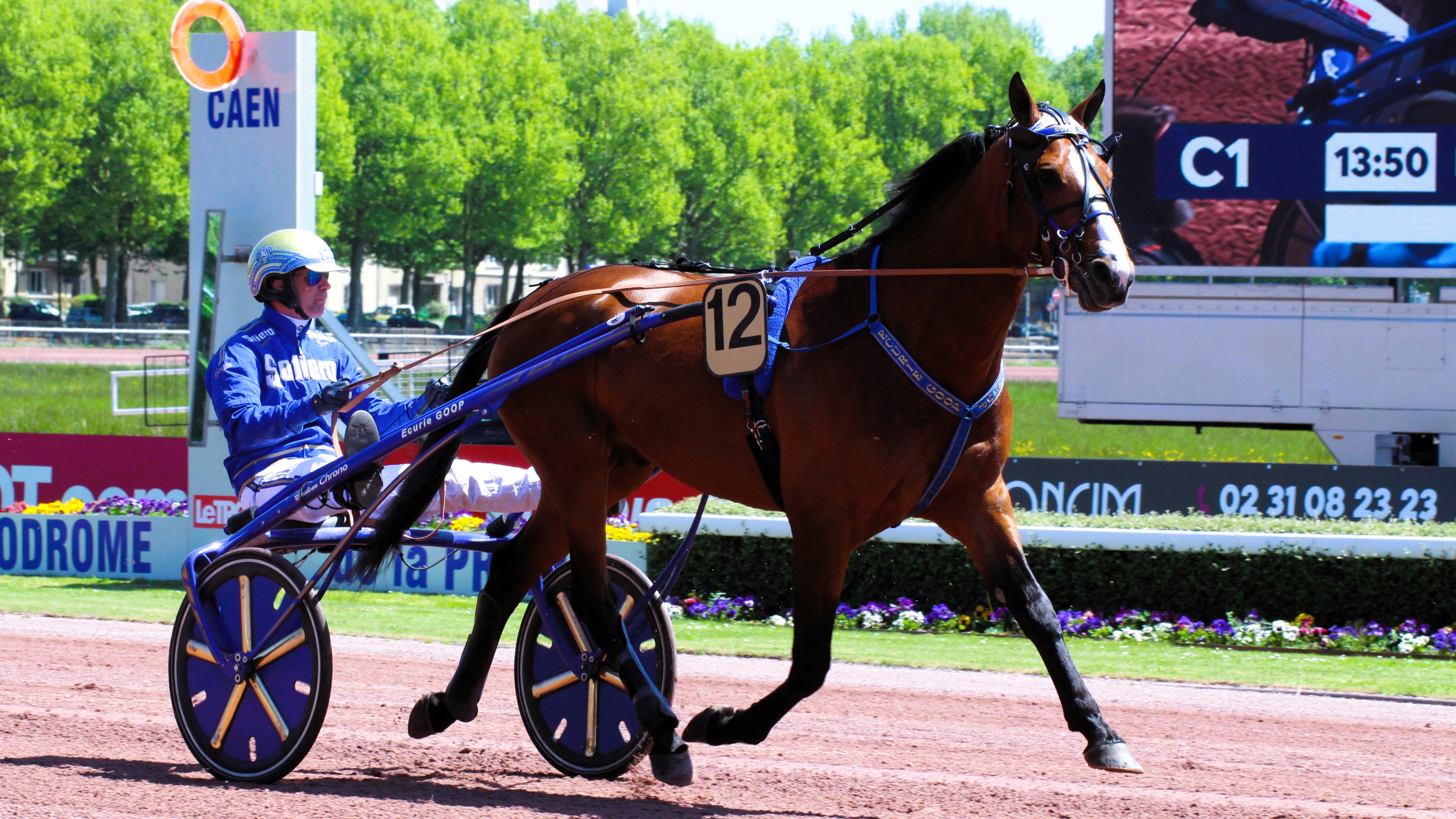 Pronostic PMU du vendredi 9 août 2024 avec base et tocard pour le Quinté du jour